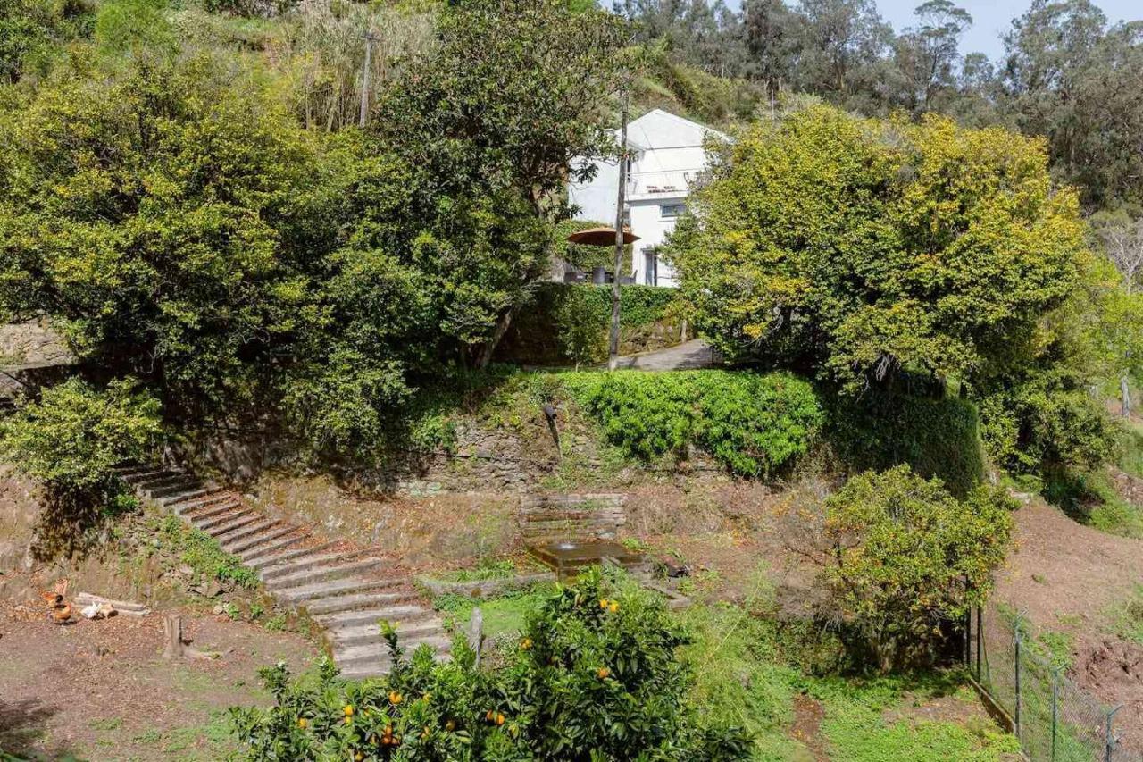 Quinta Da Agraceira Casa Do Caseiro ヴィラ・ノヴァ・デ・ガイア エクステリア 写真